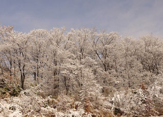 雪景色