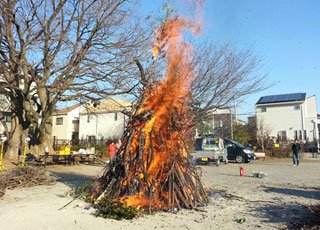 どんど焼き 2013