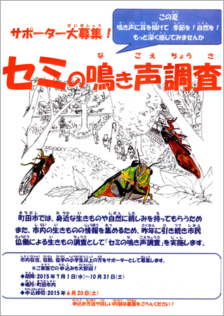 2015年度「セミの鳴き声調査」